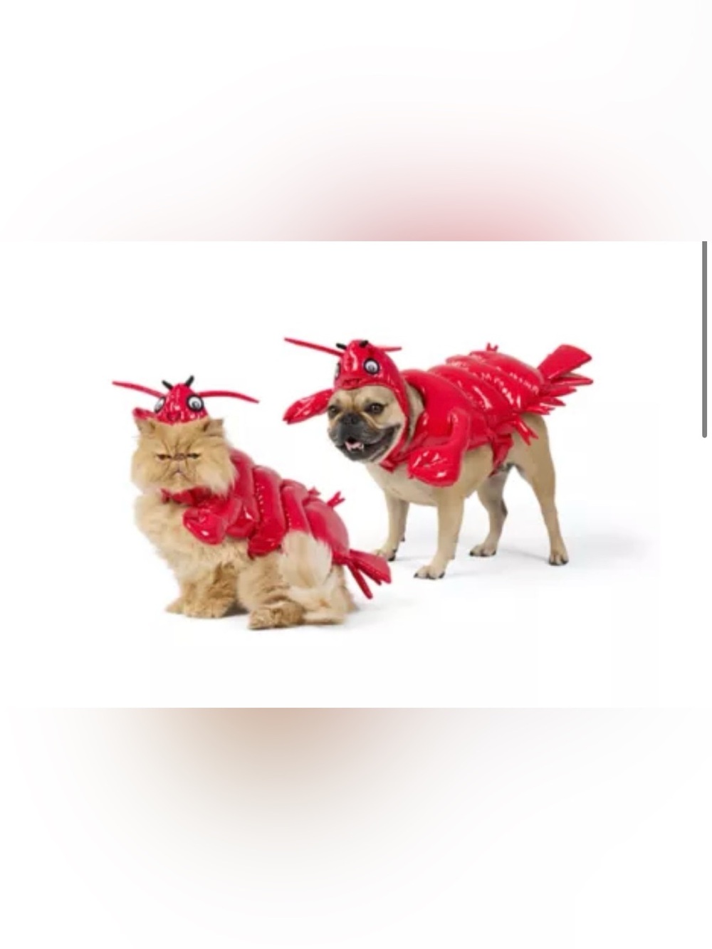 Thrills & Chills® Lobster Dog & Cat Costume